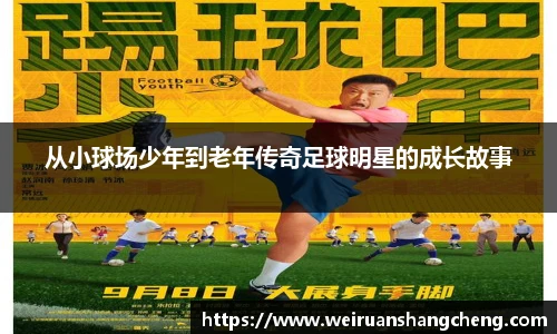 雷火电竞官方网站入口